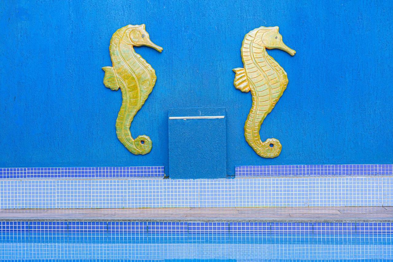 Casa Jaguar Buzios Suites A 3 Minutos Da Praia Geriba ภายนอก รูปภาพ